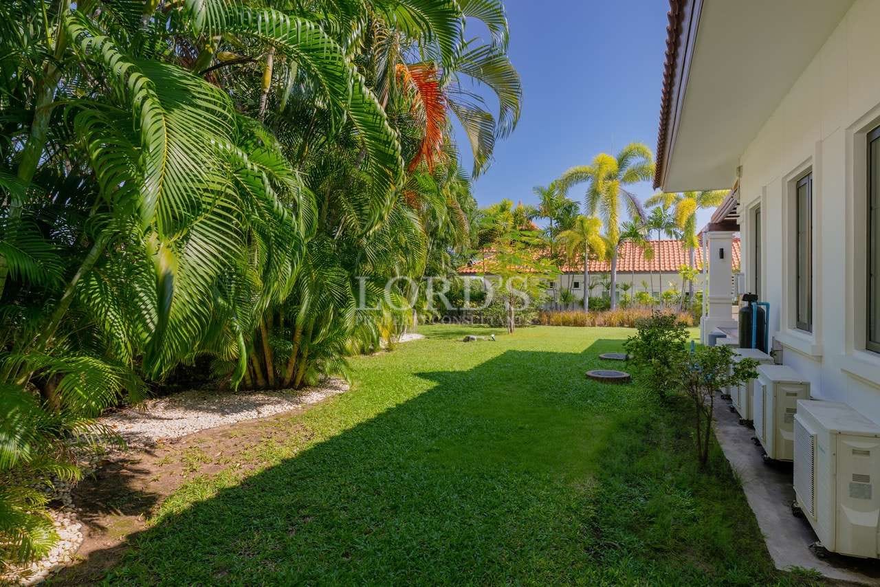 Lush green garden with palm trees