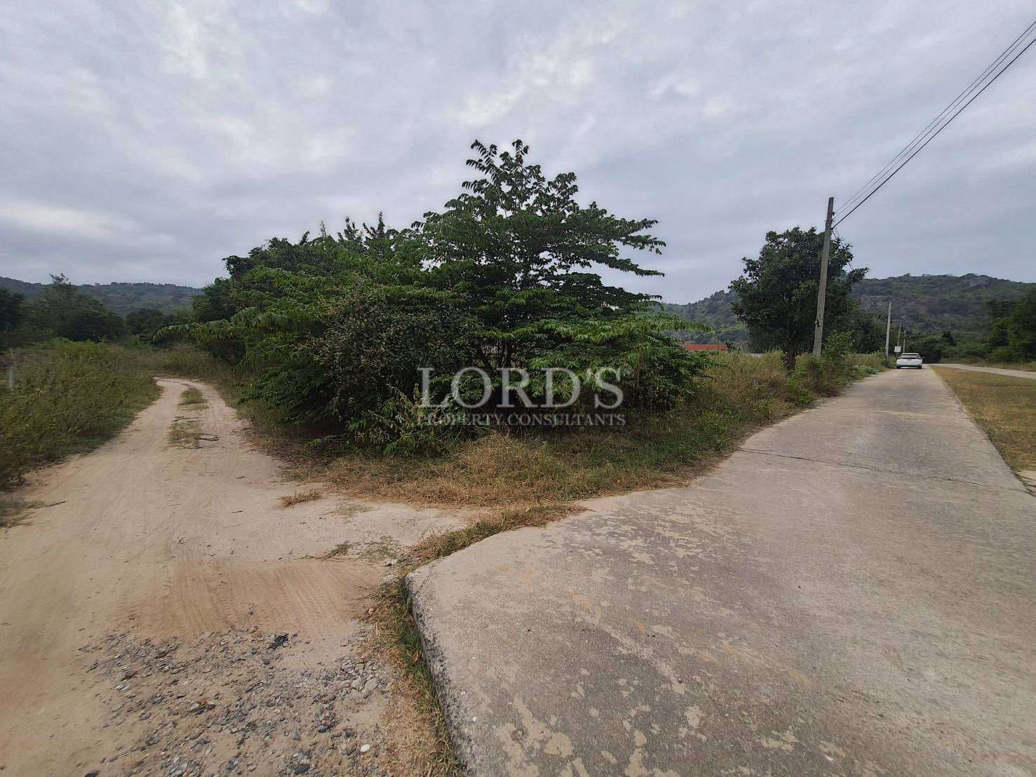 Dirt path diverging from paved road