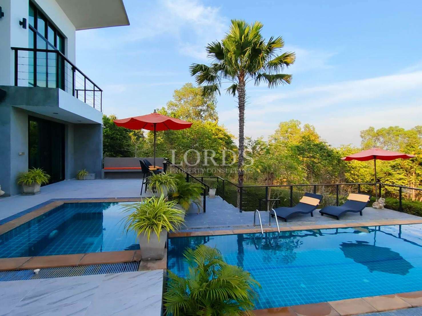 Modern poolside with tropical greenery