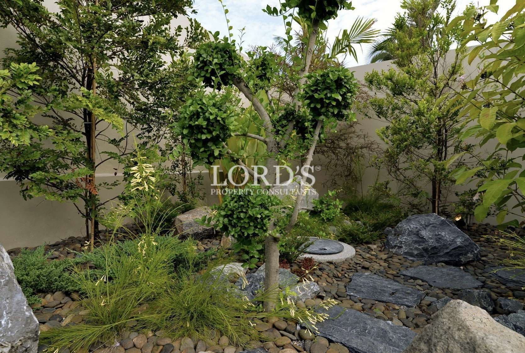 Lush garden with stones and greenery