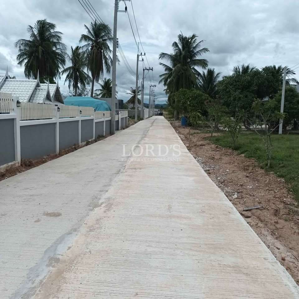 Empty pathway lined with palm trees
