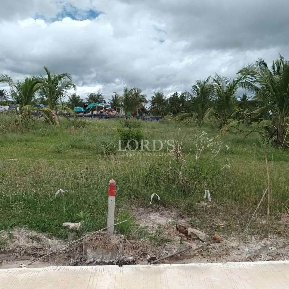 Lush green field with palm trees.
