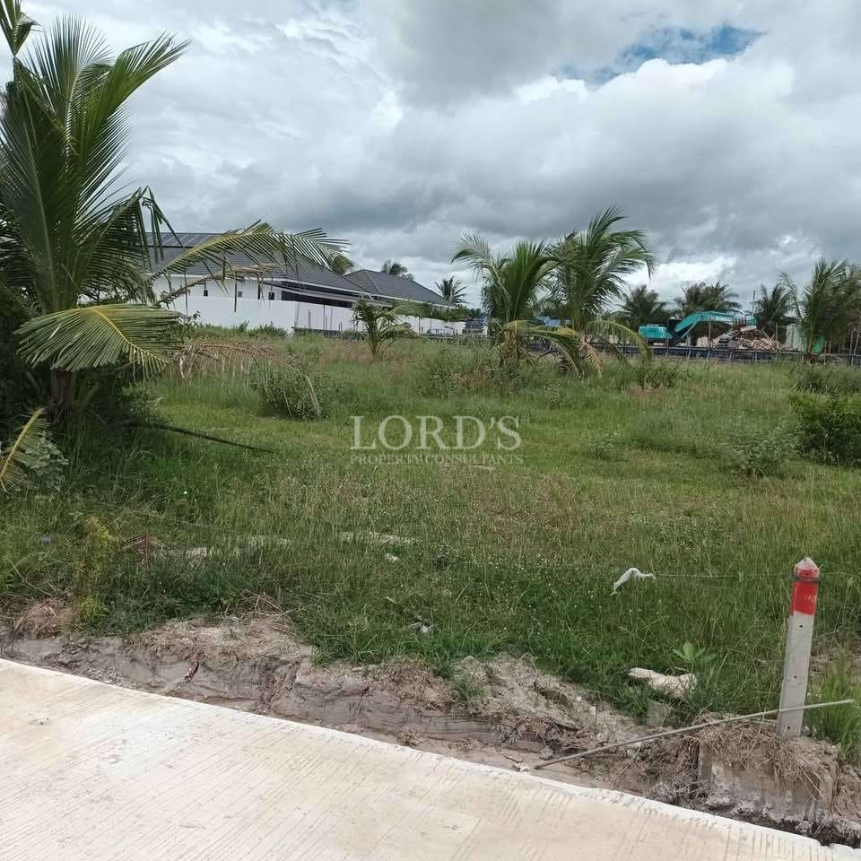 Lush green field with palm trees.