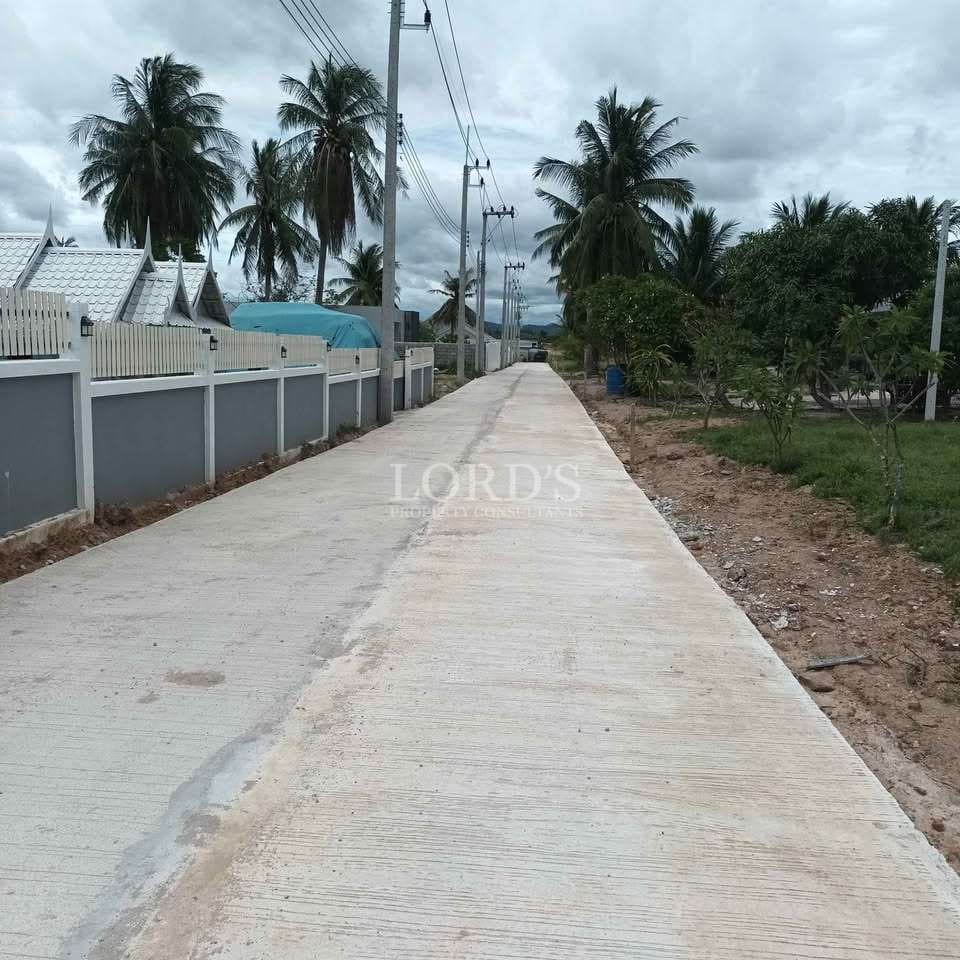 Empty road lined with palm trees