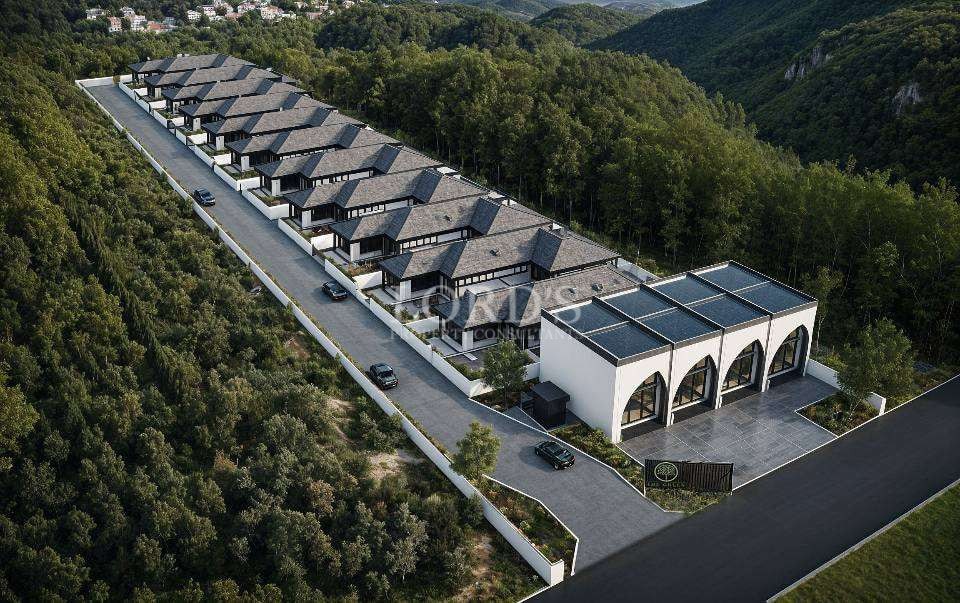 Modern houses in a forested area