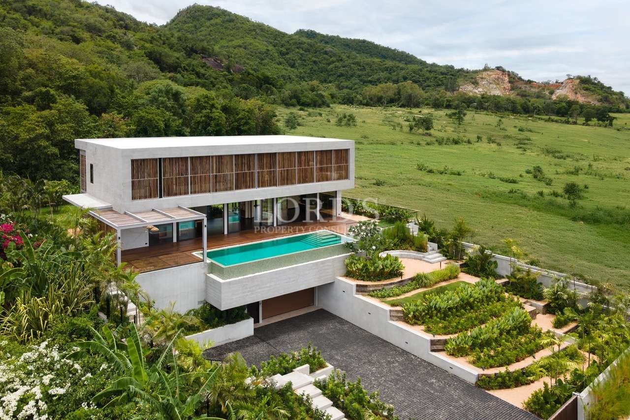 Modern house with pool and greenery
