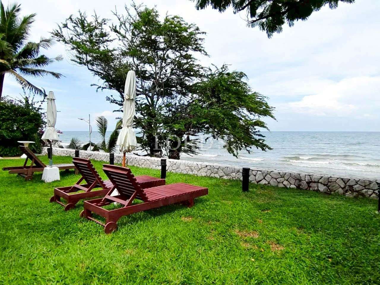 Beachfront lawn with wooden sun loungers and umbrellas overlooking the ocean.