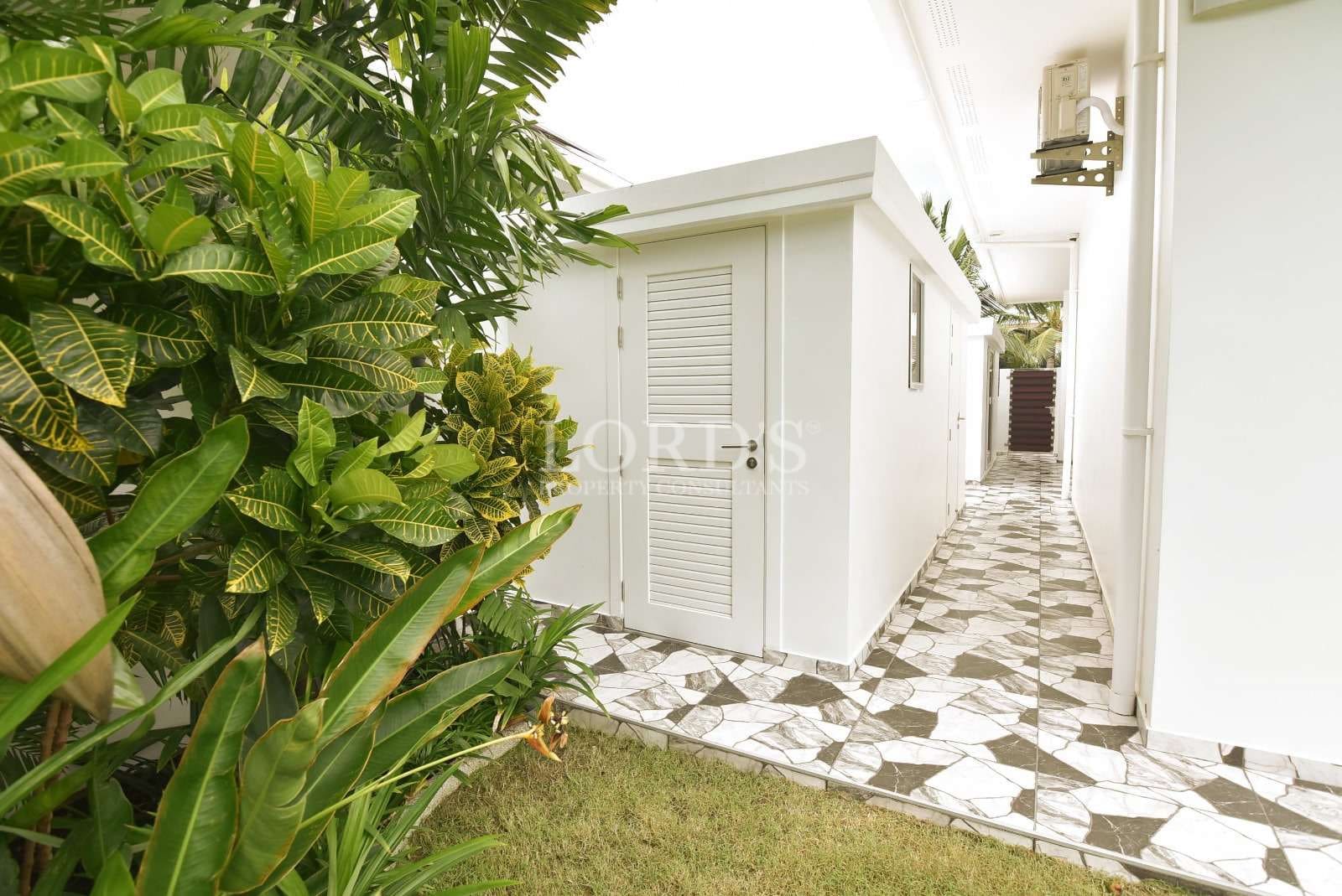 Pathway beside white garden shed