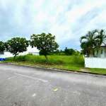 Vacant residential land with green grass and trees along a paved neighborhood road.