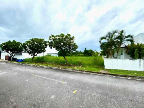 Vacant residential land with green grass and trees along a paved neighborhood road.