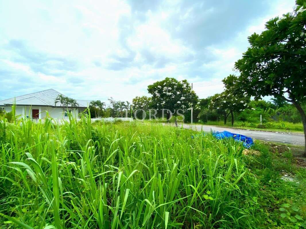 Open land with lush green grass beside a residential road and nearby homes under a cloudy sky.