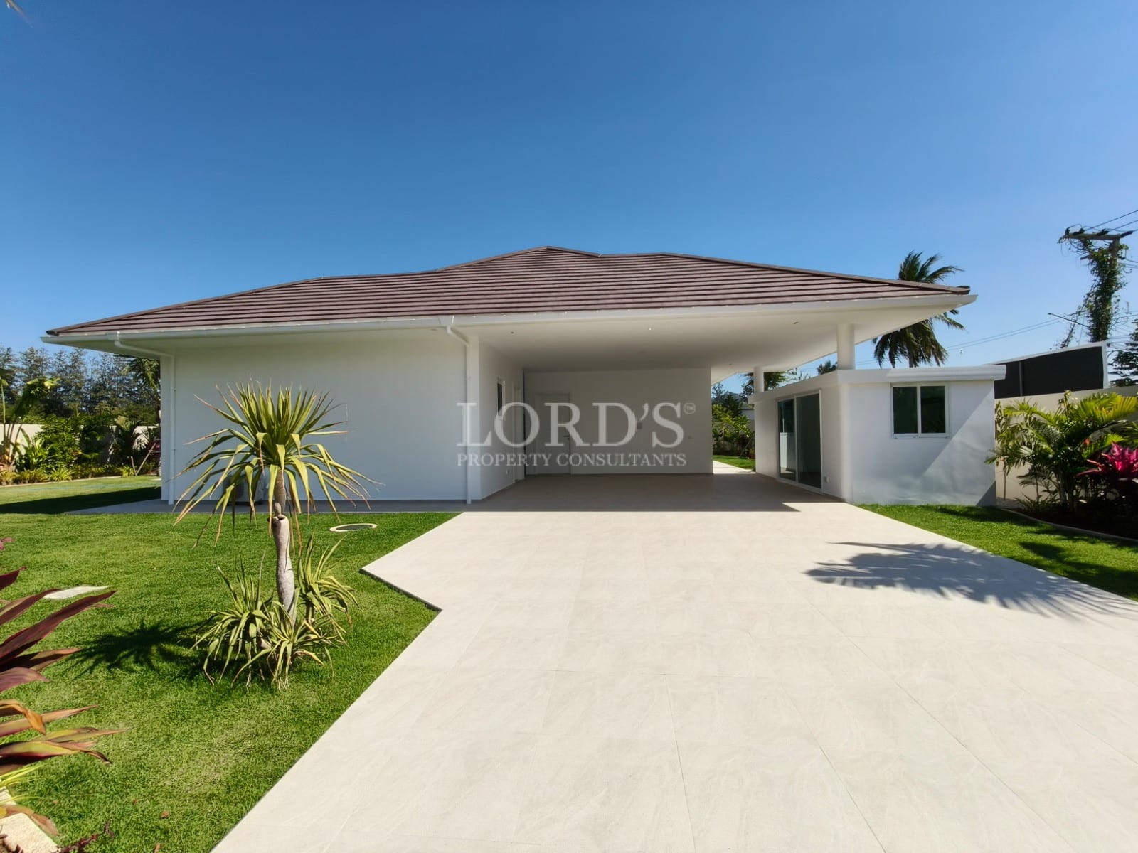 Modern house with landscaped garden