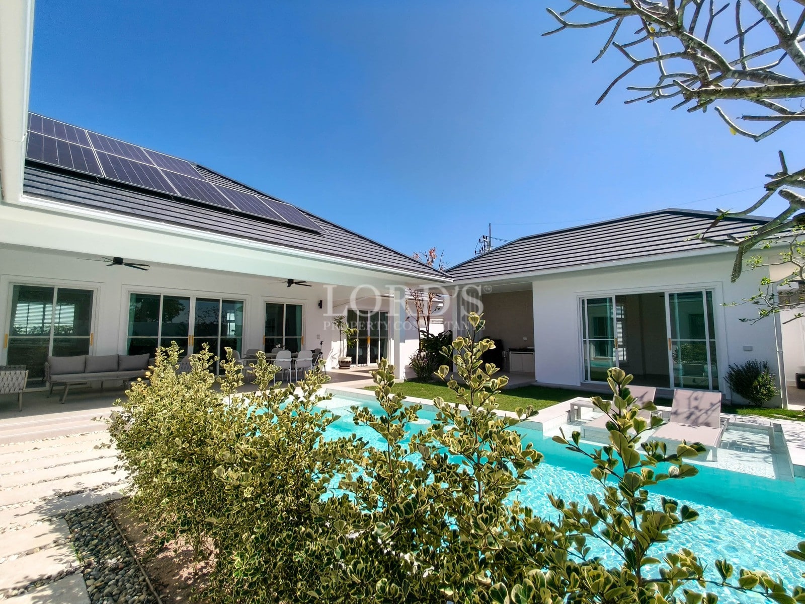 Modern house with pool and greenery