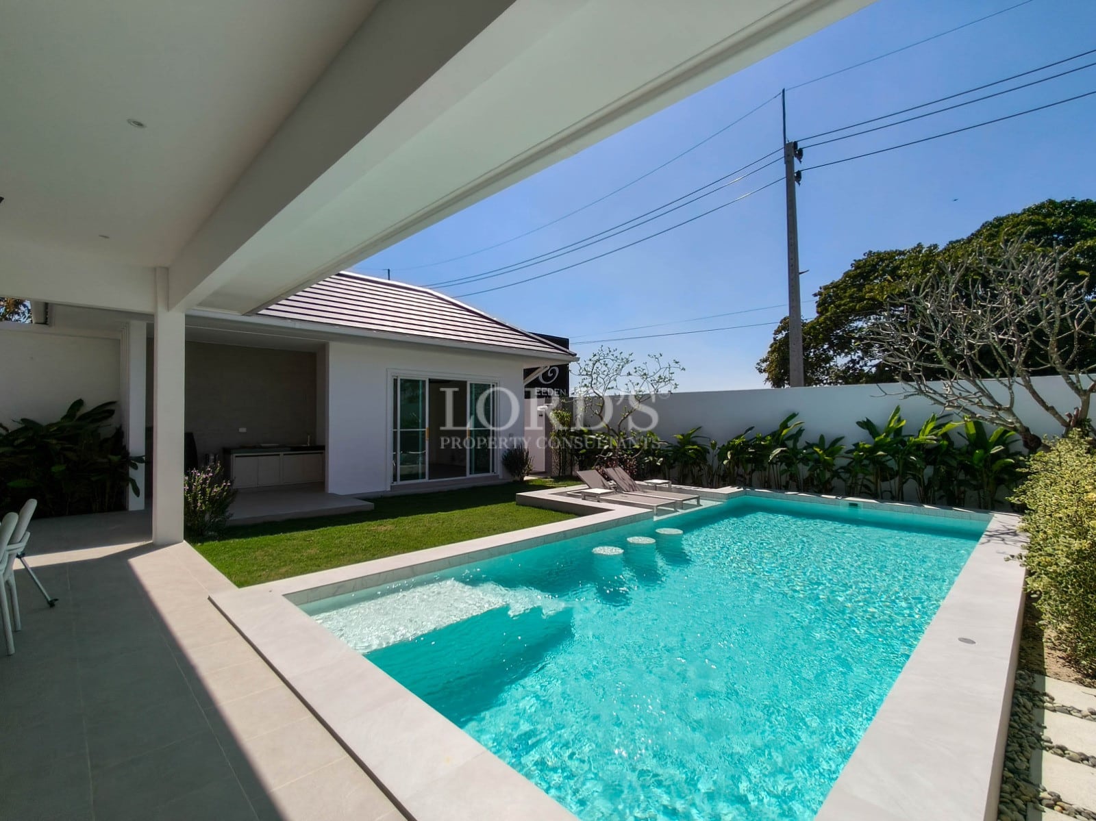 Modern house with swimming pool