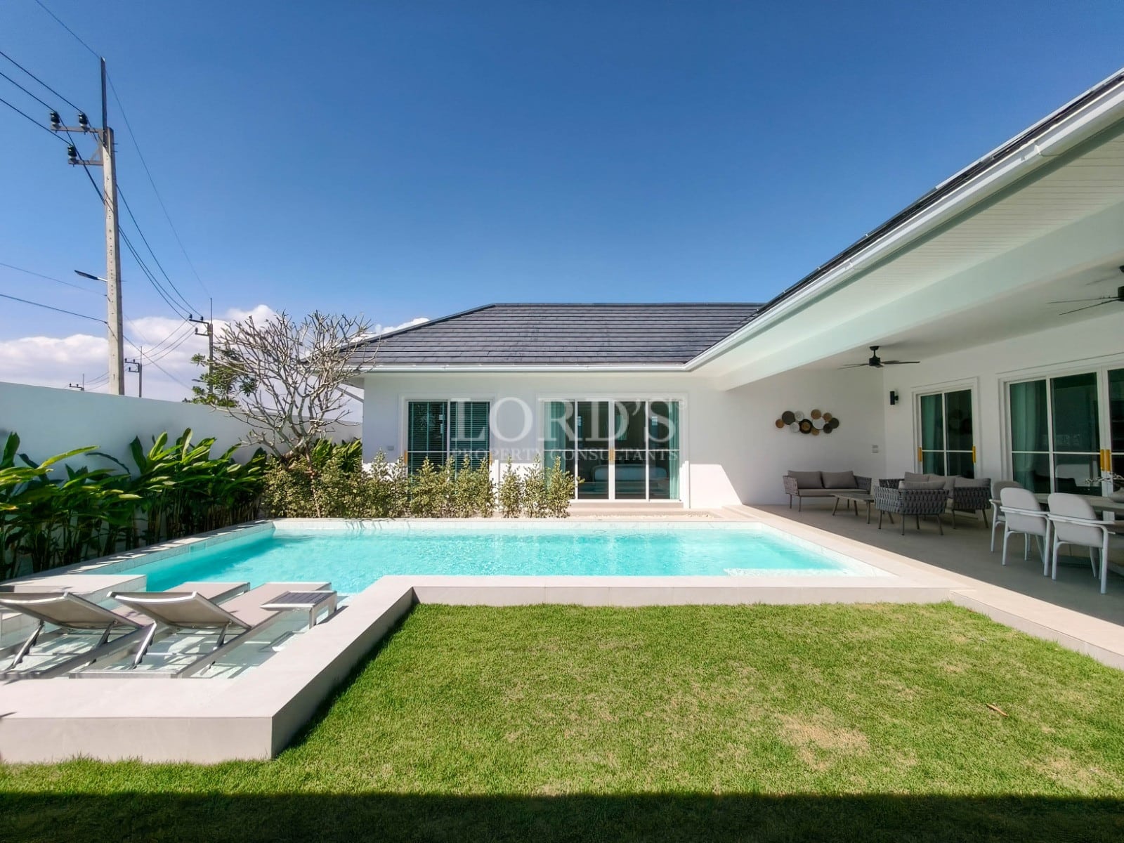 Modern house with pool and garden