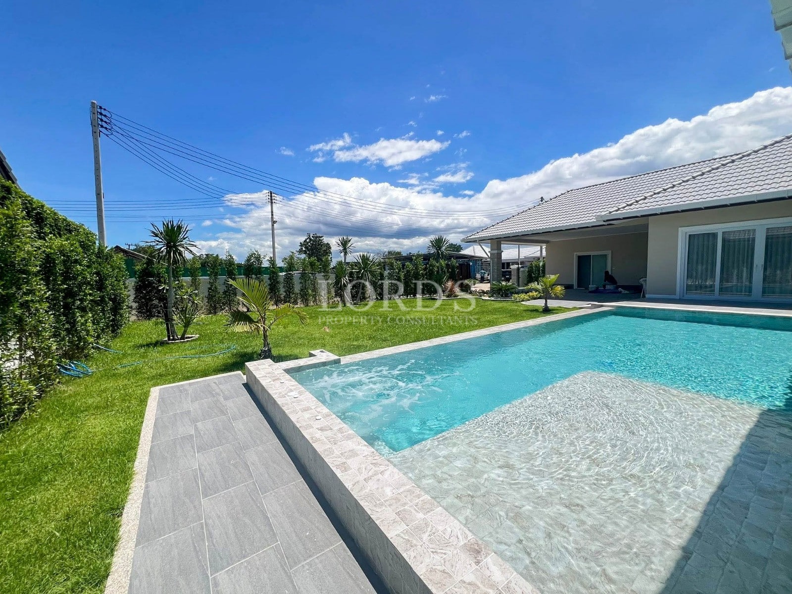 Modern pool with lush greenery surroundings