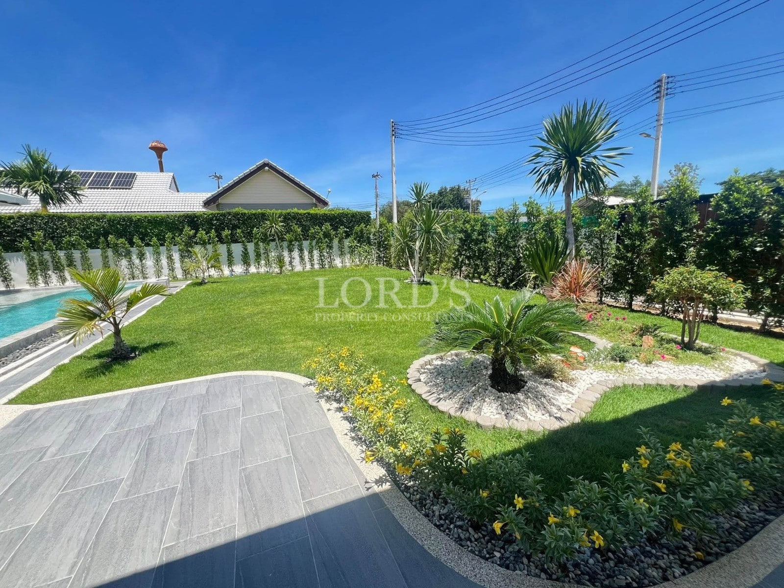 Lush garden with swimming pool.