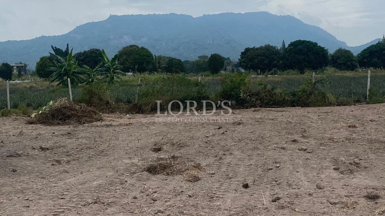 Cleared land plot with open field, trees, and mountain views in the background.