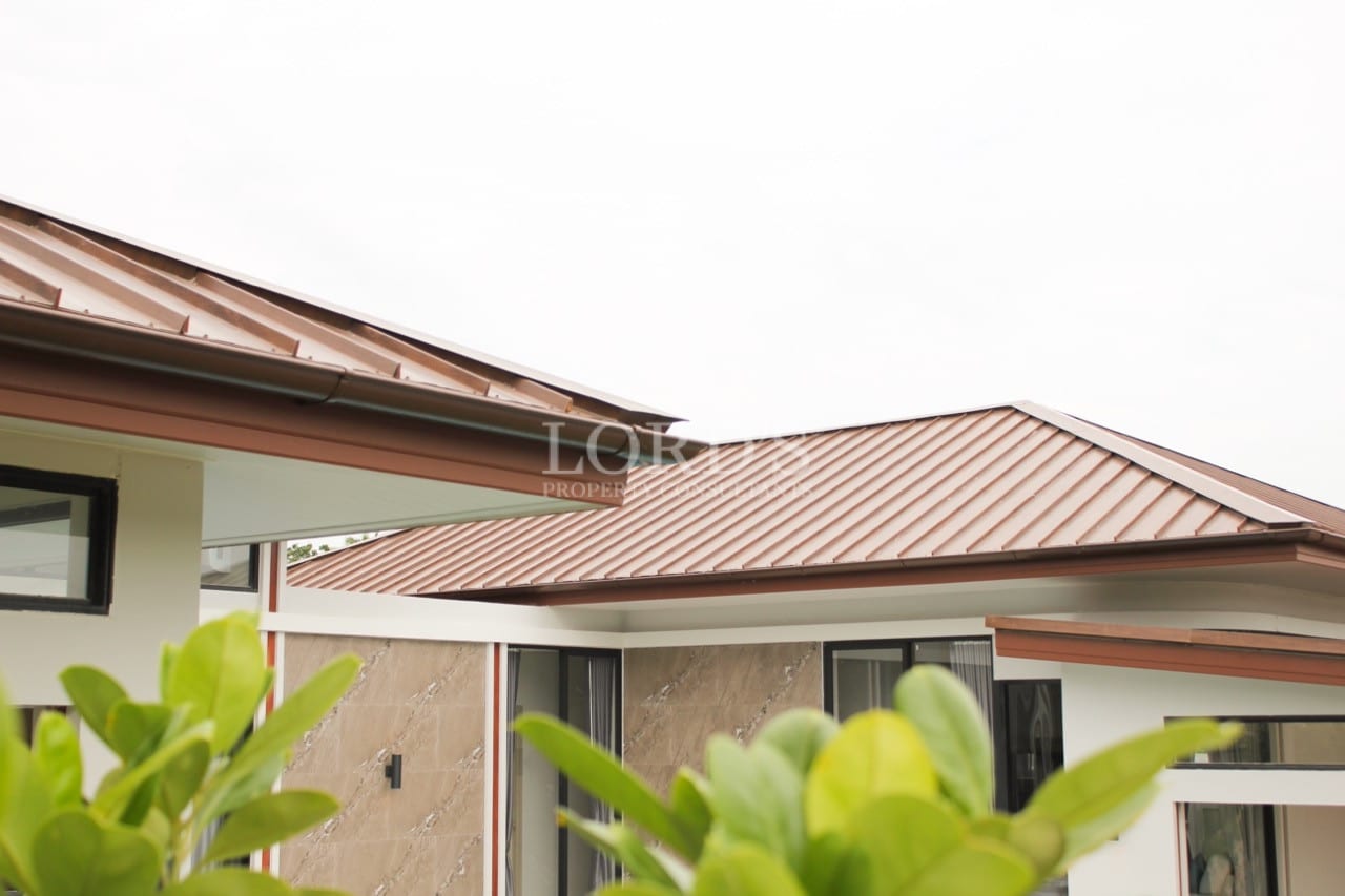 Modern house with metal roofs