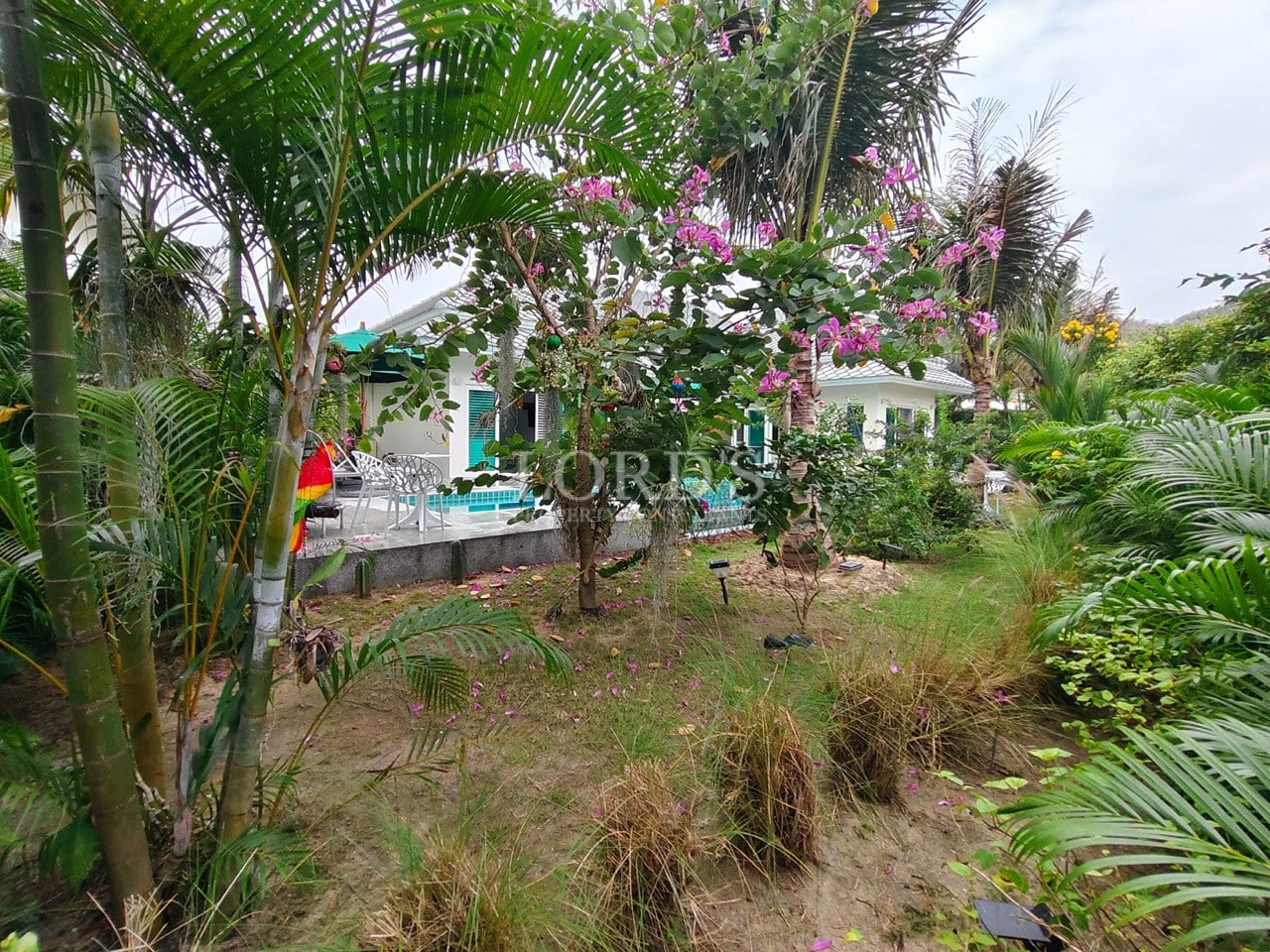 Tropical garden with palm trees, flowering plants, and a private pool villa in the background.