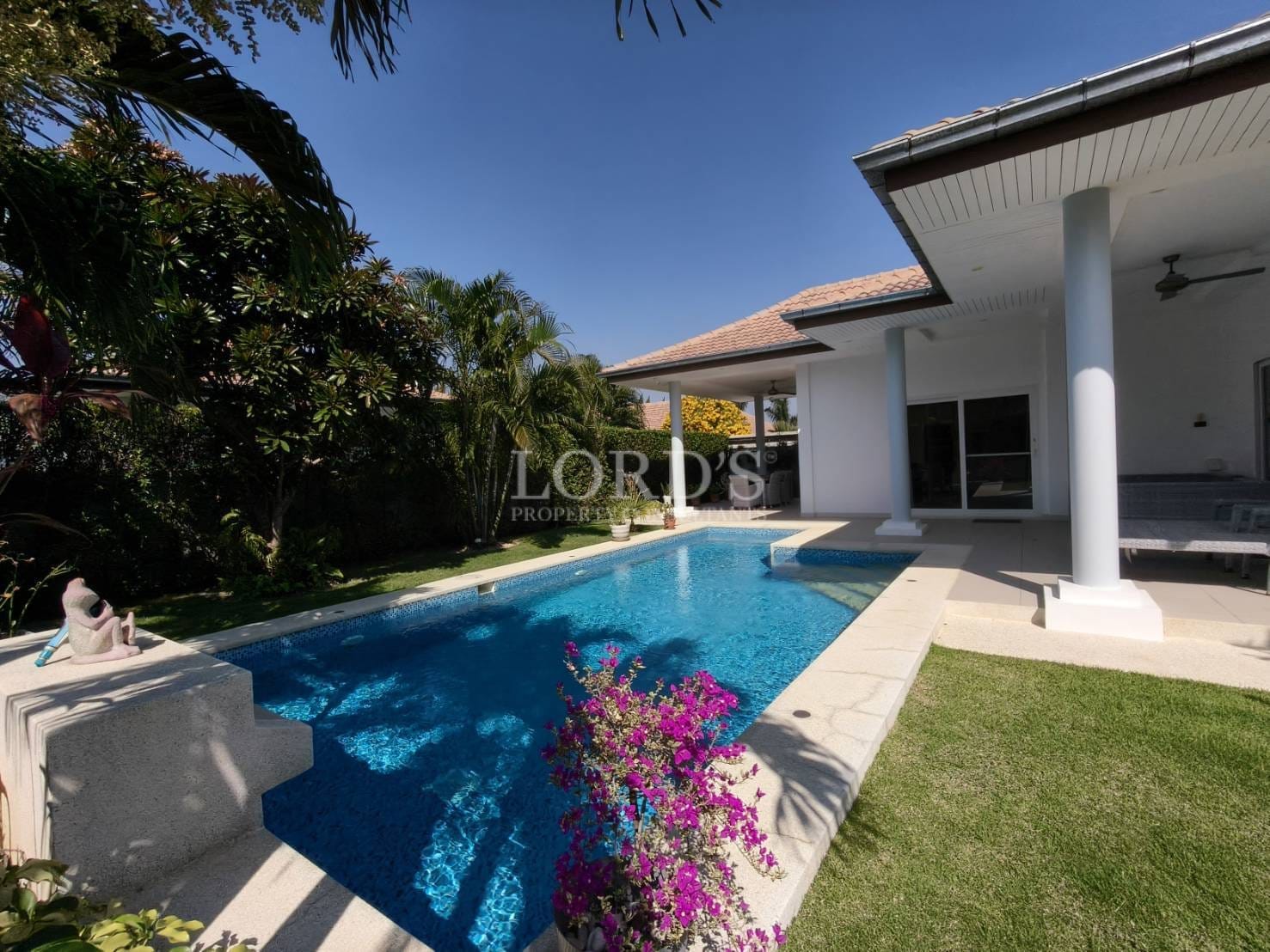 Modern luxury villa with a private swimming pool, landscaped tropical garden, and covered outdoor patio under a clear blue sky.