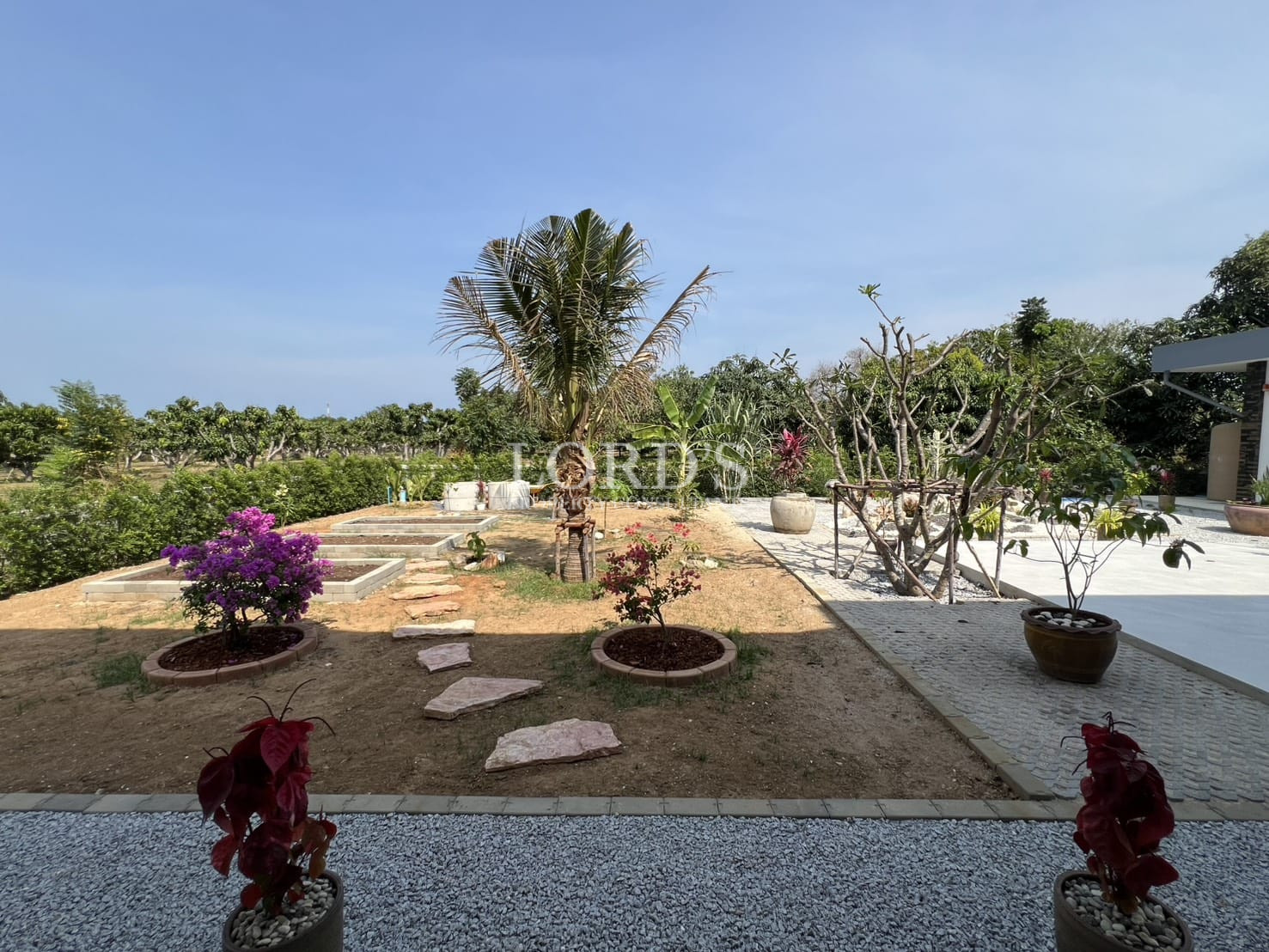 Landscaped garden with flowering plants, stepping stones, and tropical greenery.