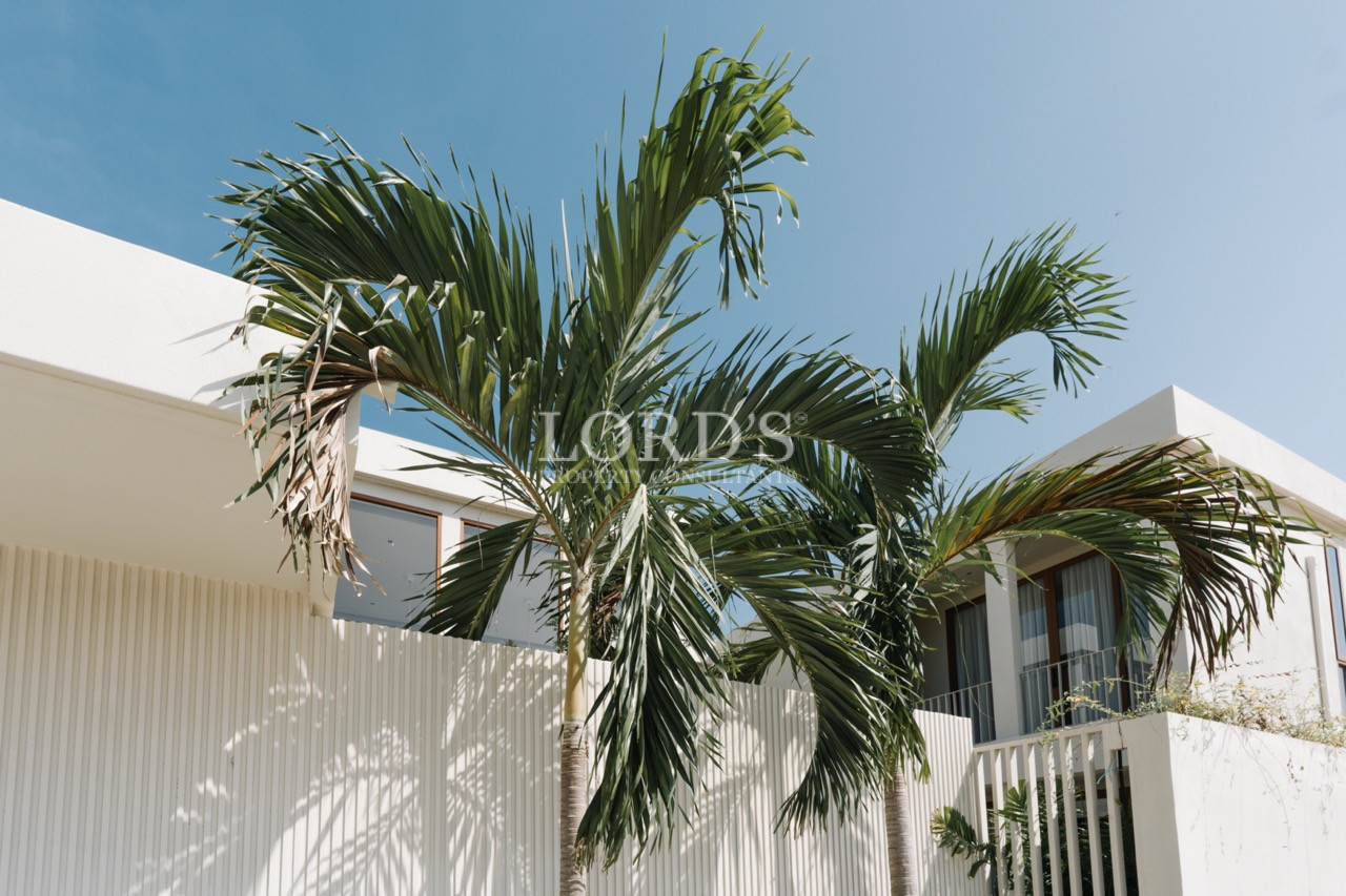 Tall palm trees rising above a white modern villa against a clear blue sky.