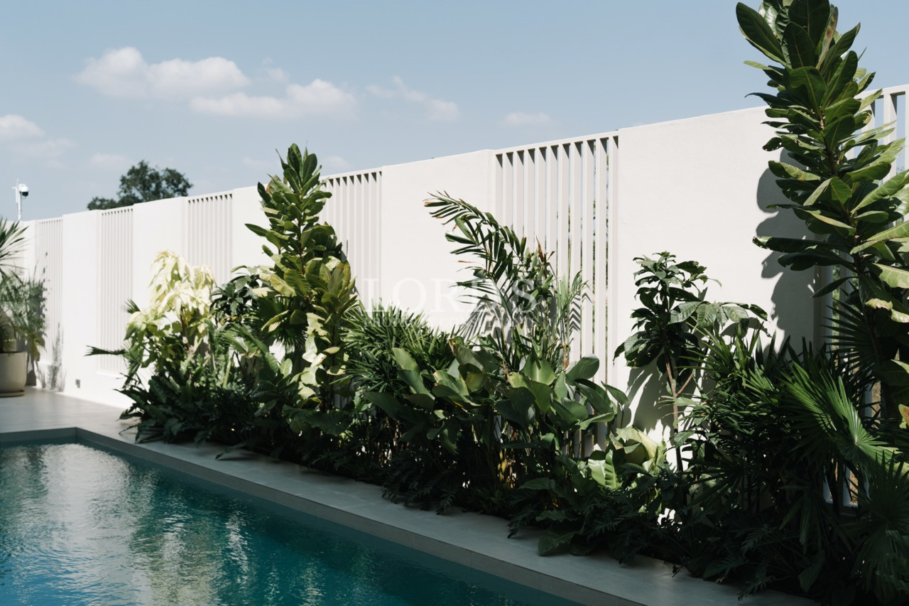 Private swimming pool bordered by lush tropical plants and a white slatted wall.