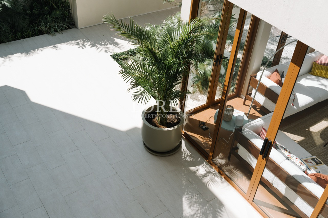 Overhead view of a sunlit terrace with a large potted palm beside wooden-framed glass doors leading into a living room.