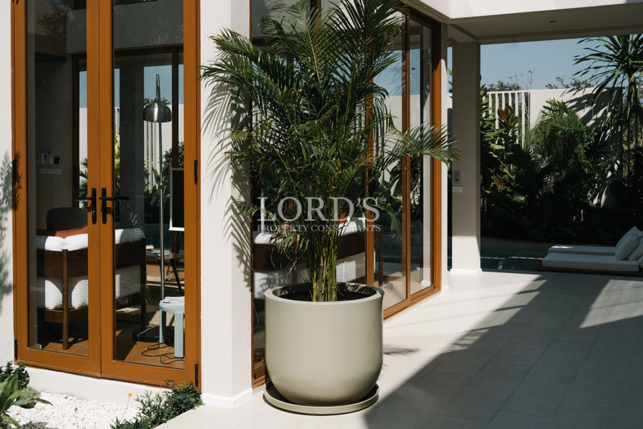 Sunlit modern patio with large potted palm, glass doors, and private pool area in the background.
