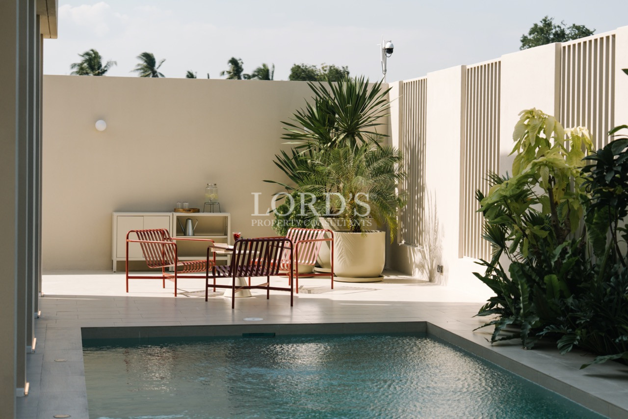 Modern courtyard pool with red lounge chairs, potted tropical plants, and privacy walls.