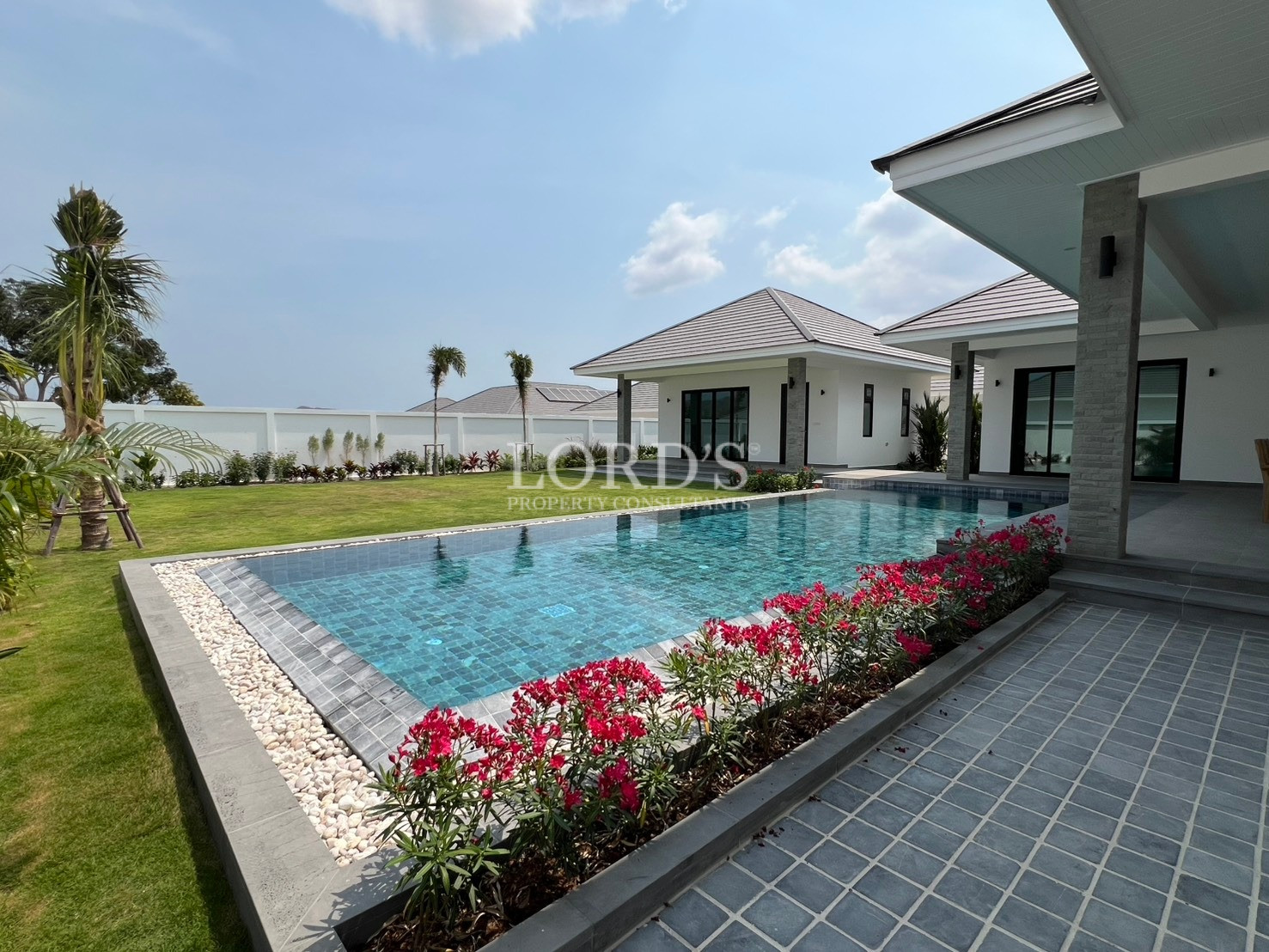 Luxury modern villa with private swimming pool and landscaped garden