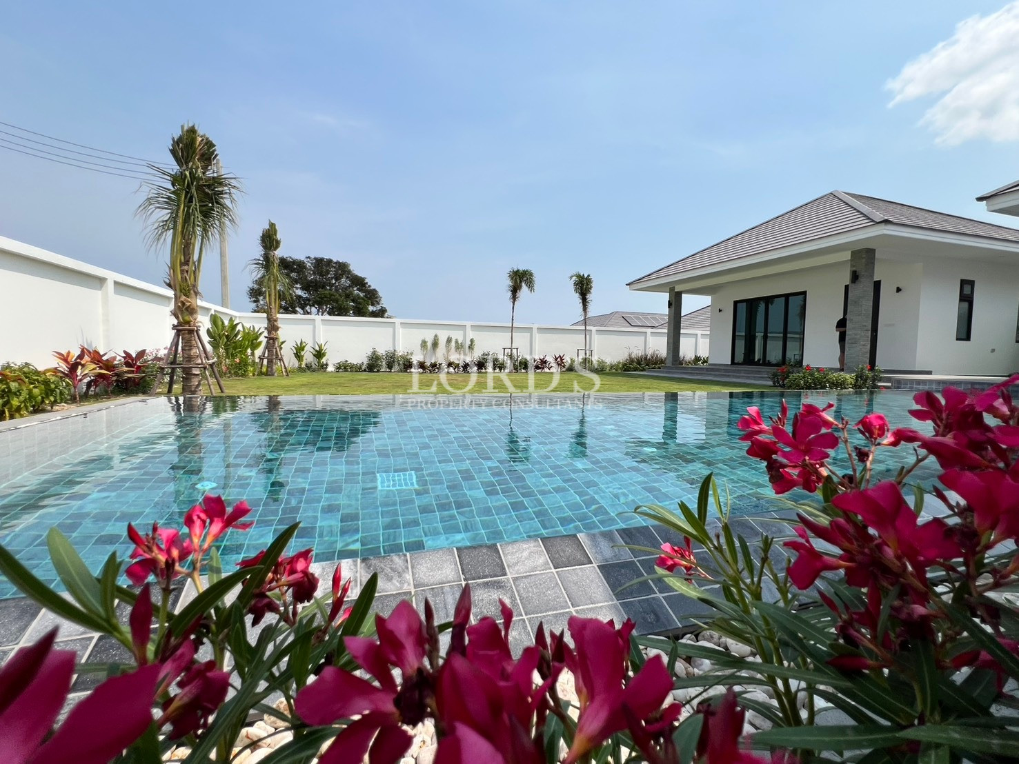 Modern luxury villa with private swimming pool, landscaped garden, and tropical plants under a clear blue sky.