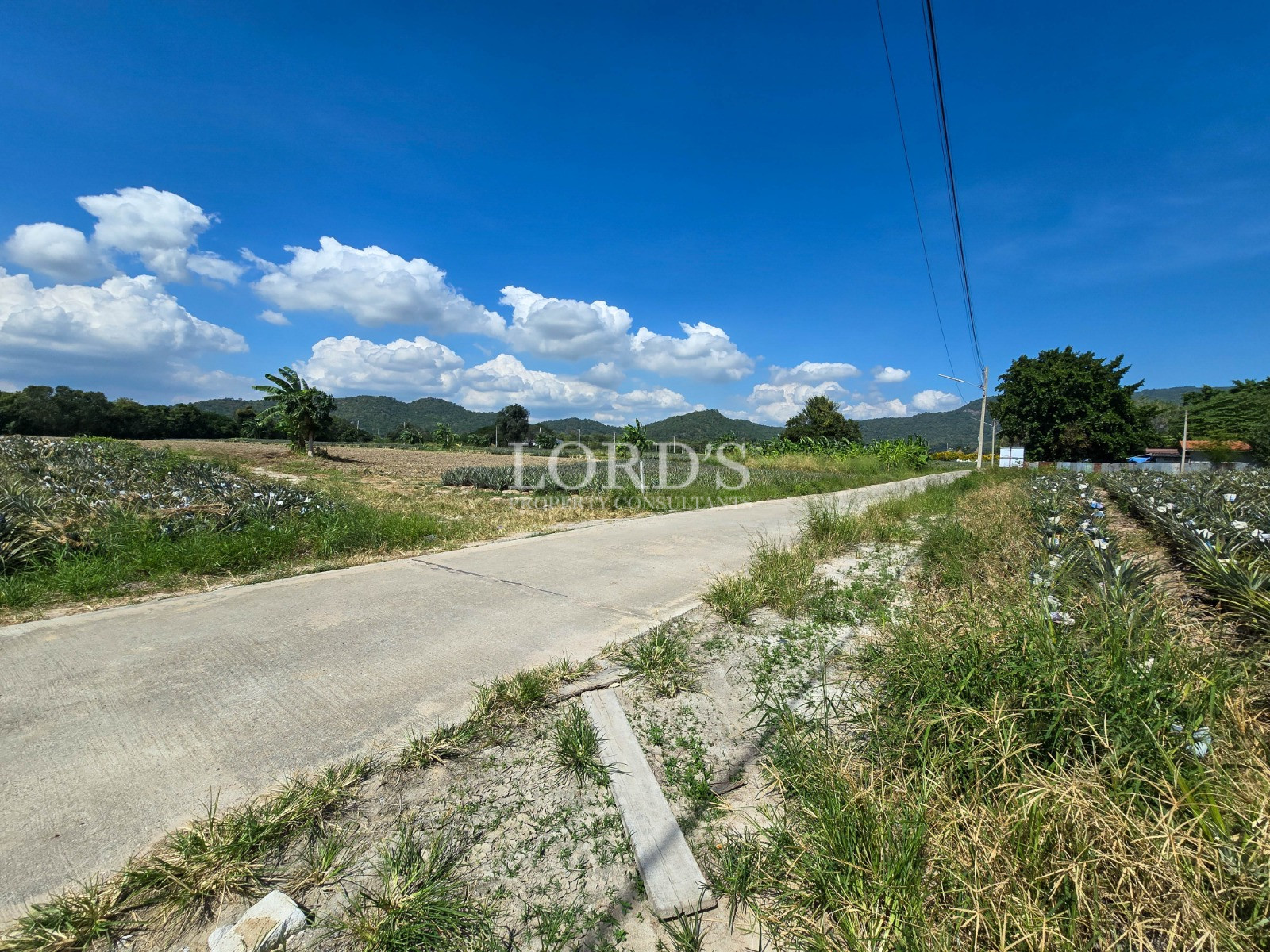 Quiet rural concrete road bordered by grassy fields and farmland with distant hills under a bright blue sky.