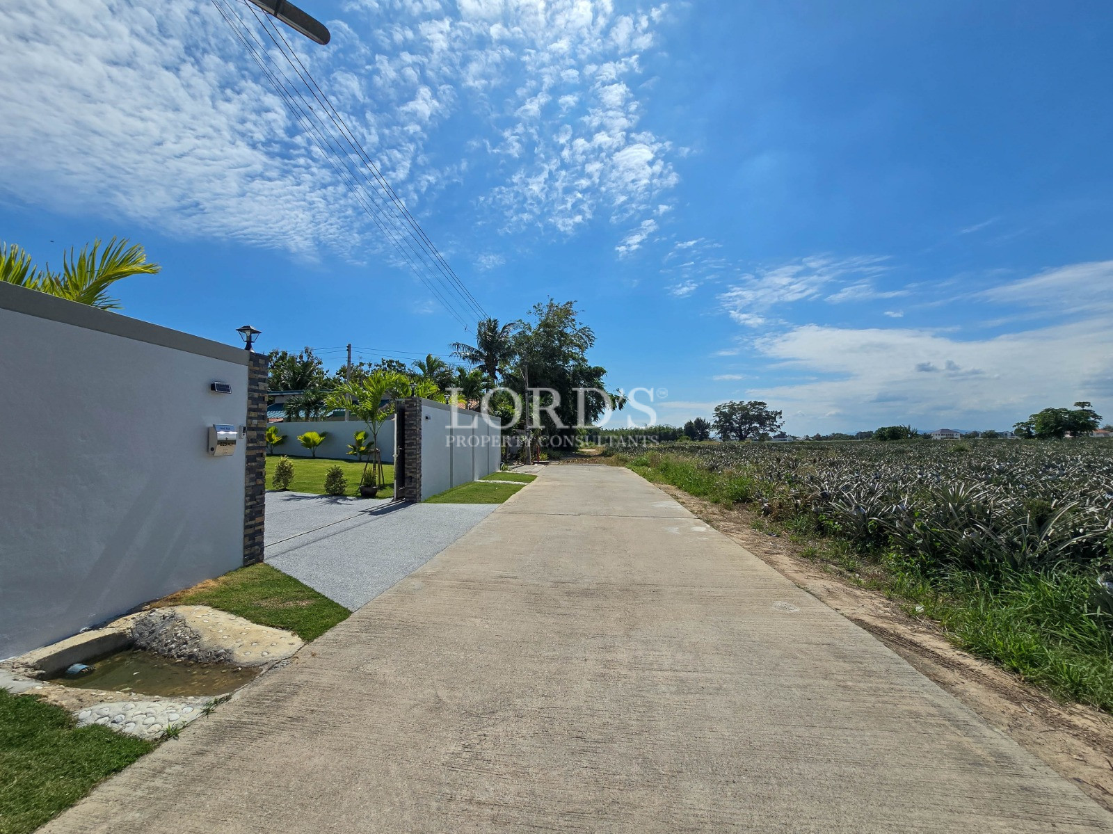Rural road beside a white-walled property and agricultural fields under a bright blue sky.
