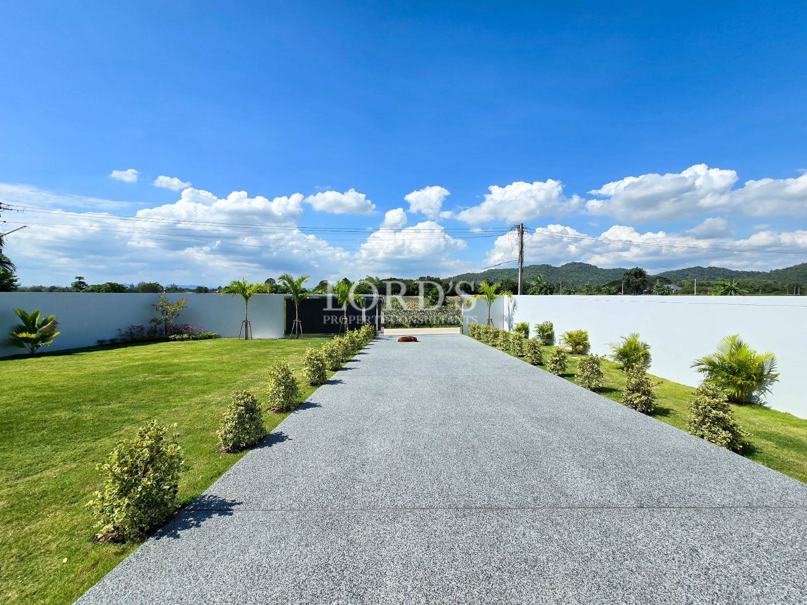 Long gravel driveway lined with trimmed shrubs and palm trees, enclosed by a white wall with mountain views in the distance.
