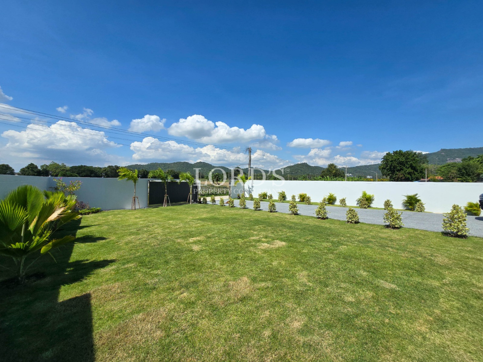 Spacious landscaped lawn with trimmed hedges, palm trees, white perimeter wall, and mountain views under a bright blue sky.