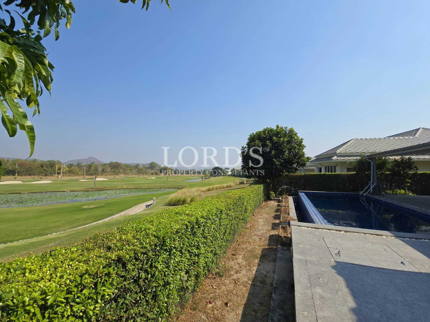 Garden pathway with hedges