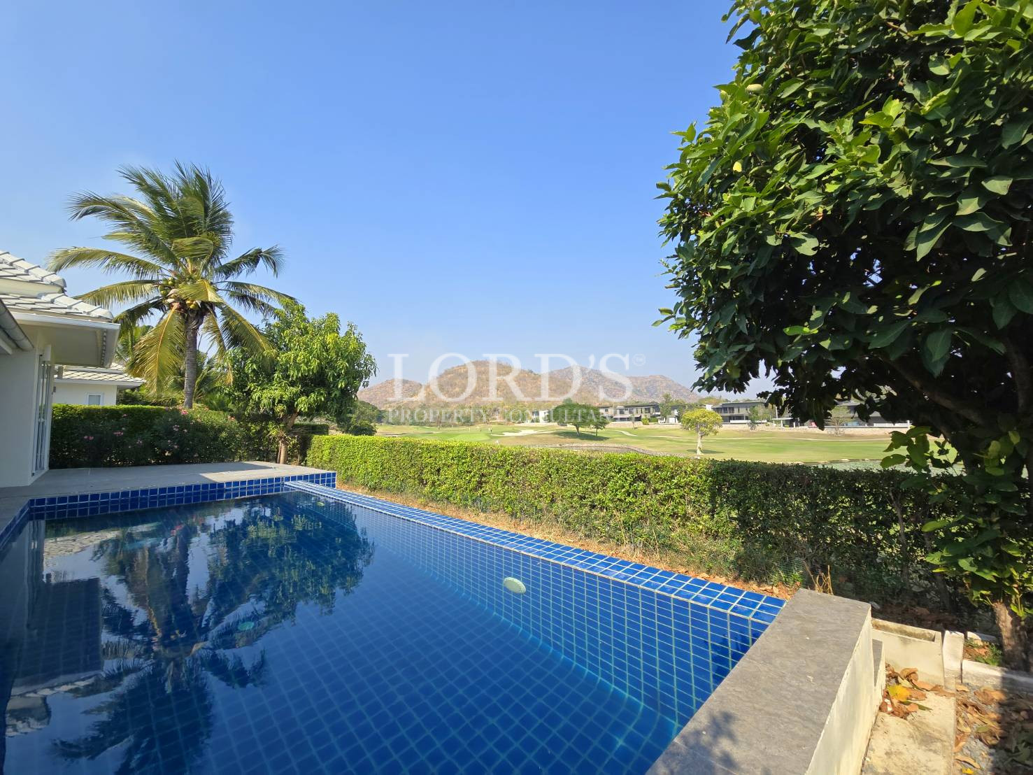 Pool with tropical plants and sky