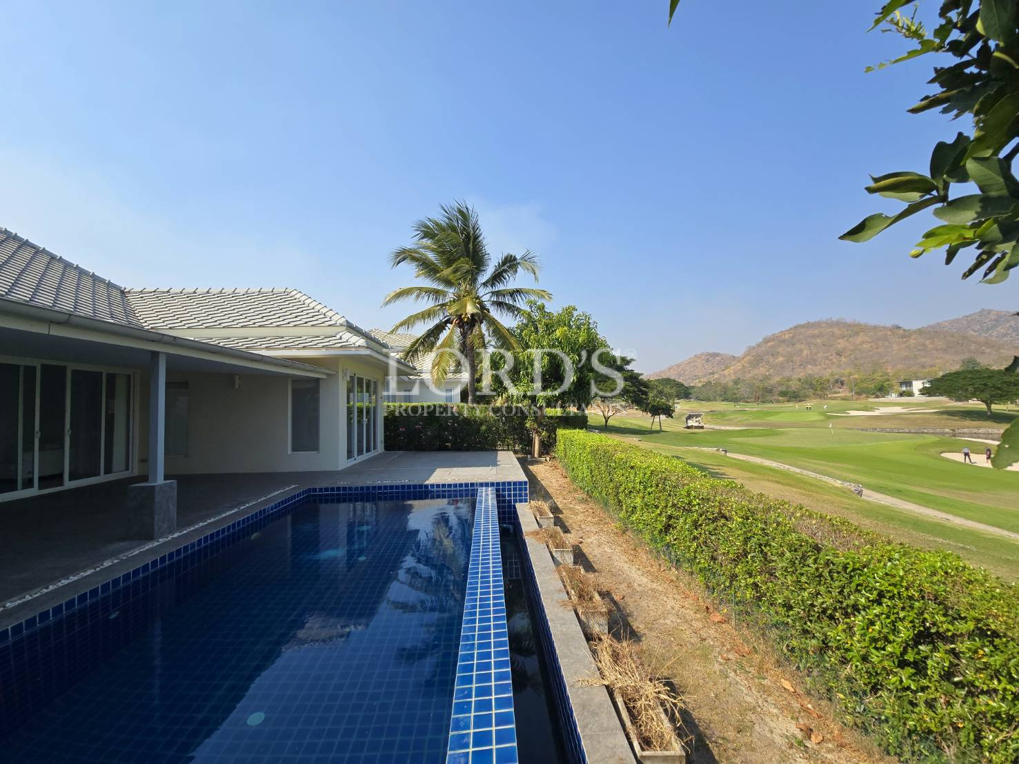 Long pool with hedge and house exterior