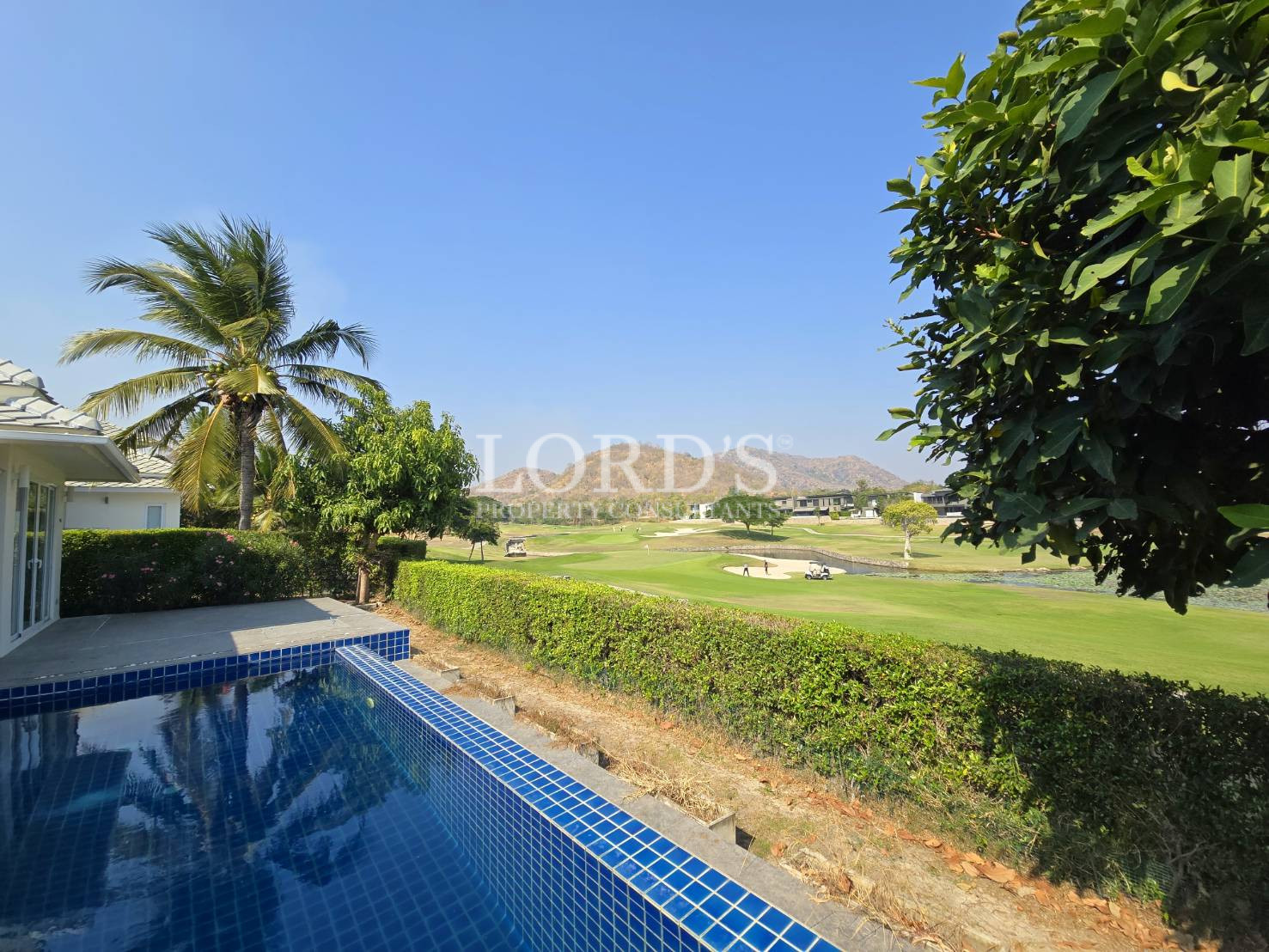 Poolside with greenery and trees