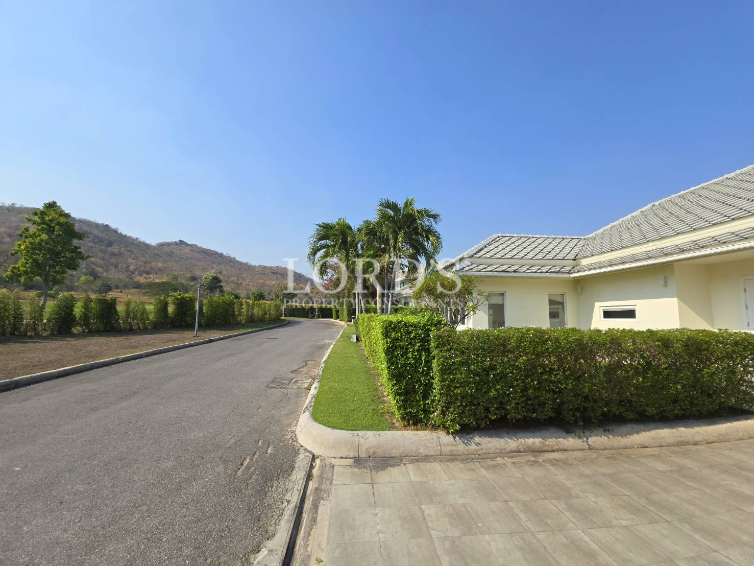 Driveway with house exterior and hedge
