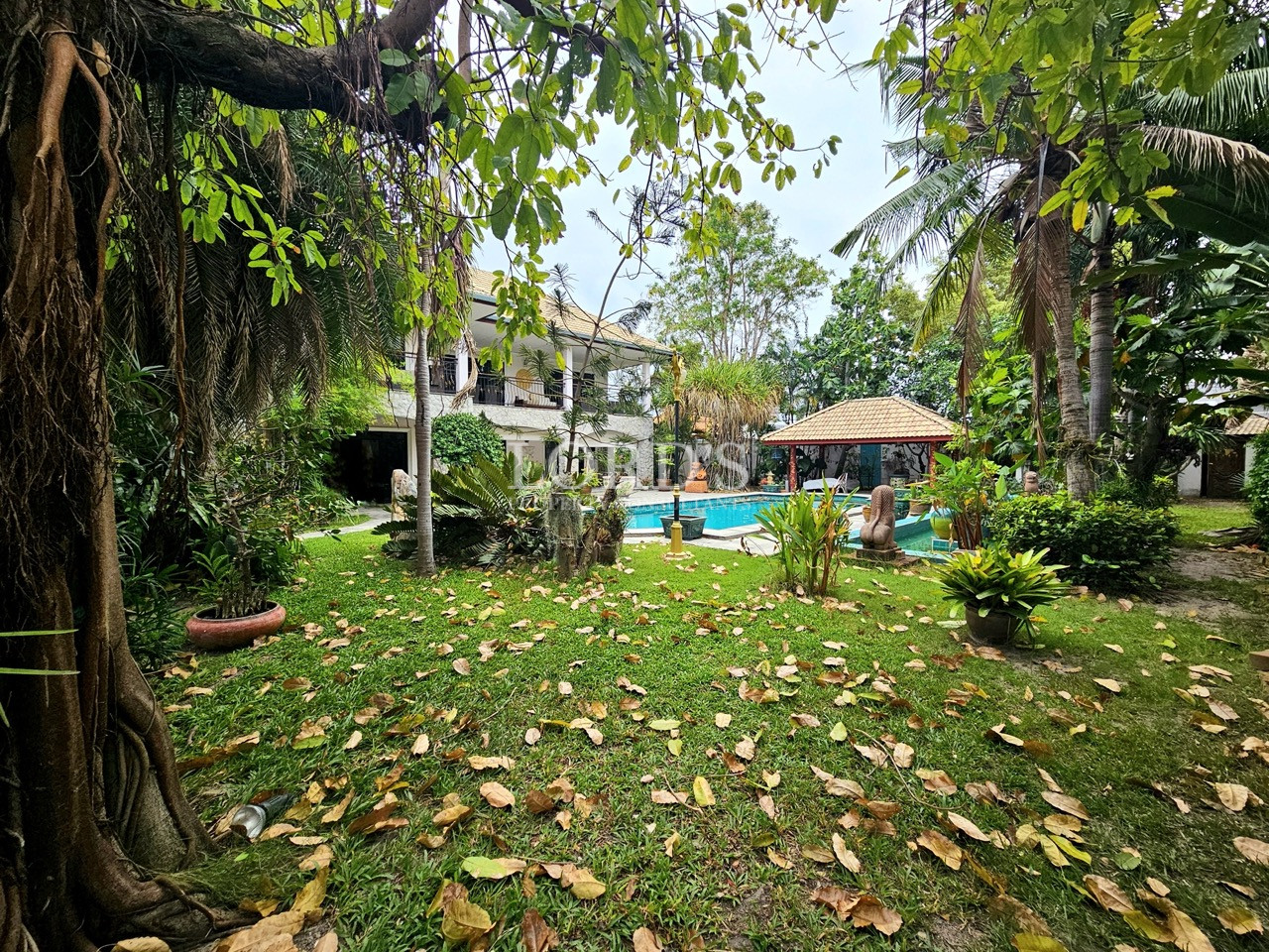 Spacious garden with trees and natural greenery