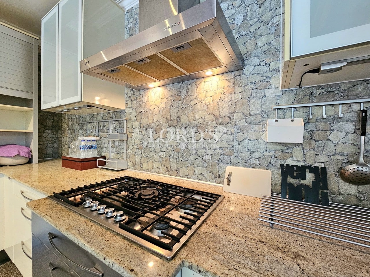 Modern kitchen stove with stainless steel hood