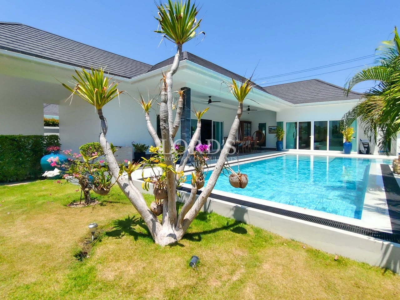 Poolside garden with tropical plants