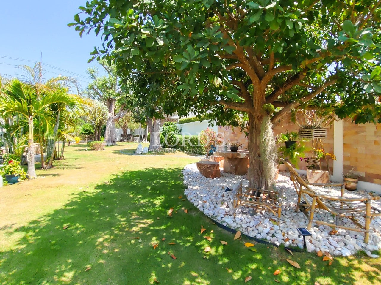Villa garden with decorative stones and tree