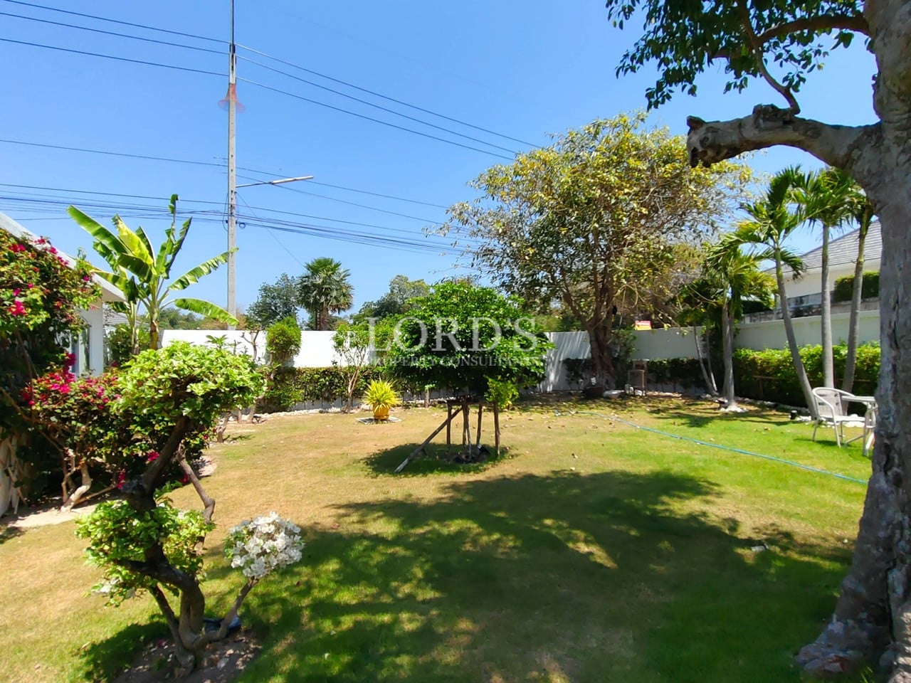 Villa garden with green lawn and trees