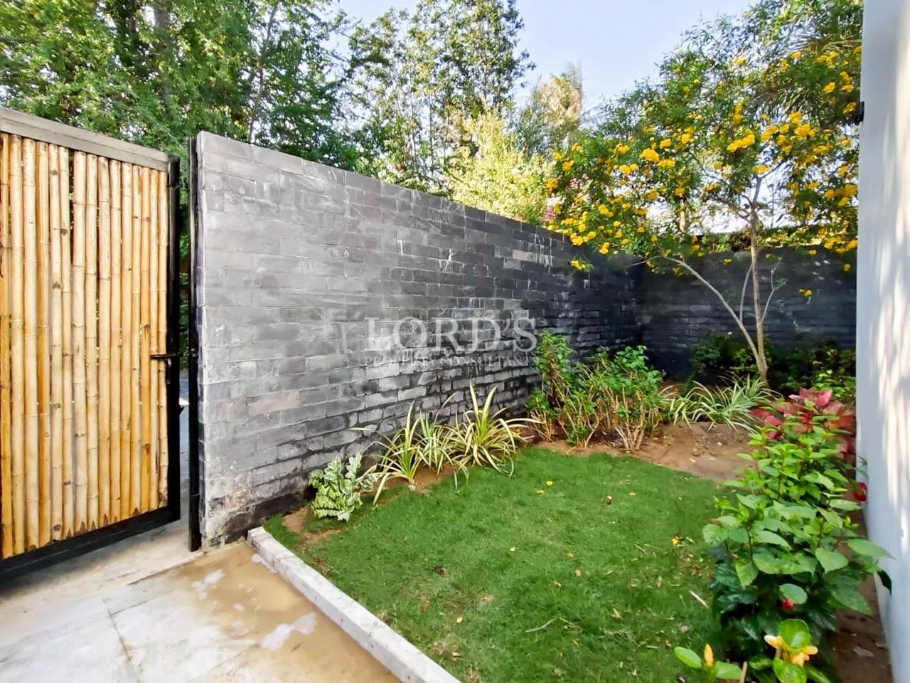 Minimalist backyard garden with stone wall
