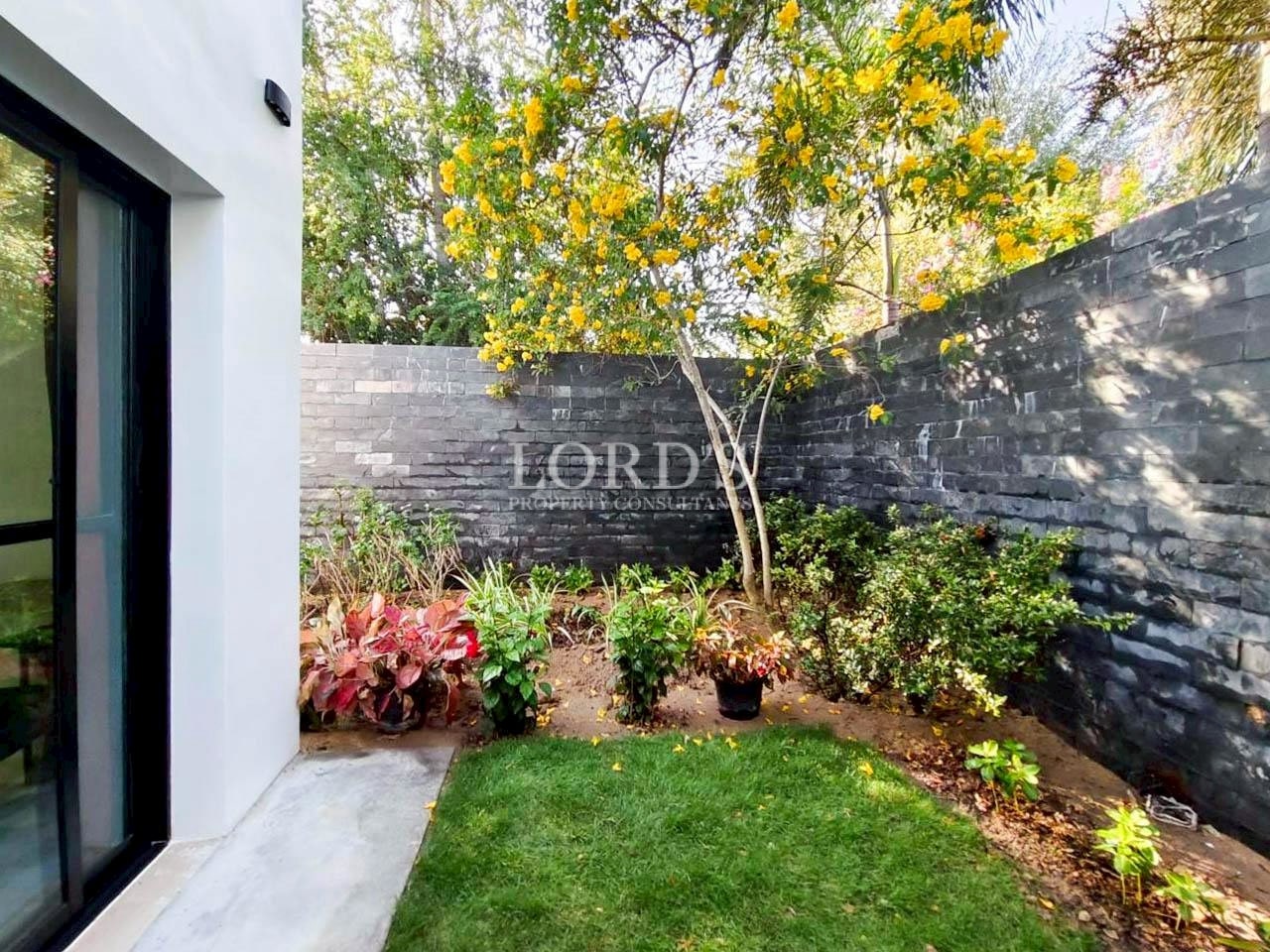 Small garden courtyard with plants and flowers
