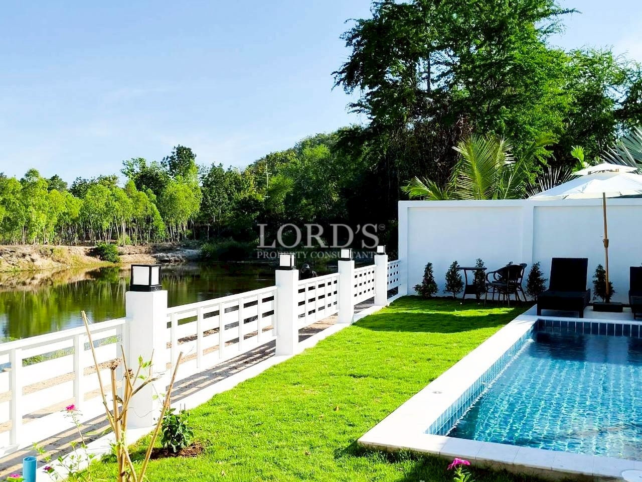 Backyard pool with white boundary wall